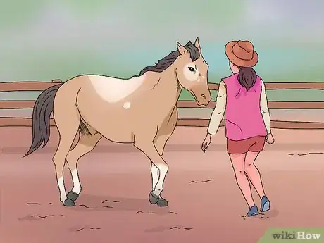 Image titled "Play" with Your Horse_Pony Step 3